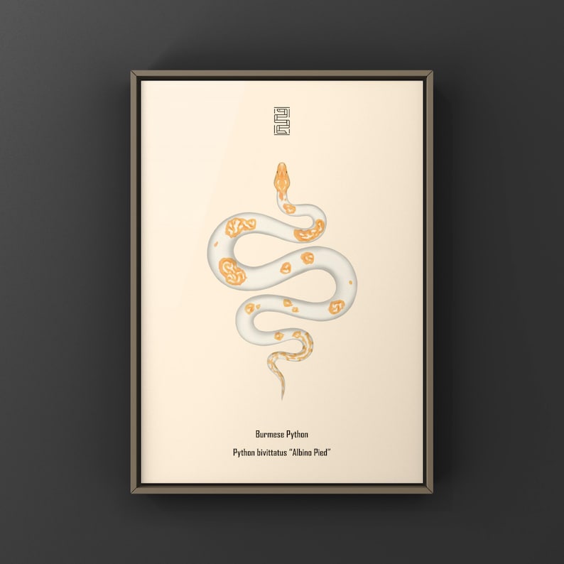 Albino Pied Burmese Python Python bivittatus art print by The Morph Archive, python illustration by Mingo X.