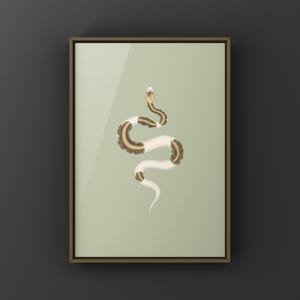 Greymatter Ball Python Python regius art print by The Morph Archive, ball python morph illustration by Mingo X.