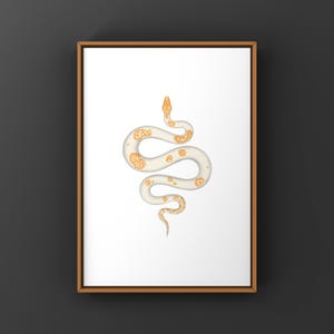 Albino Pied Burmese Python Python bivittatus art print by The Morph Archive, python illustration by Mingo X.