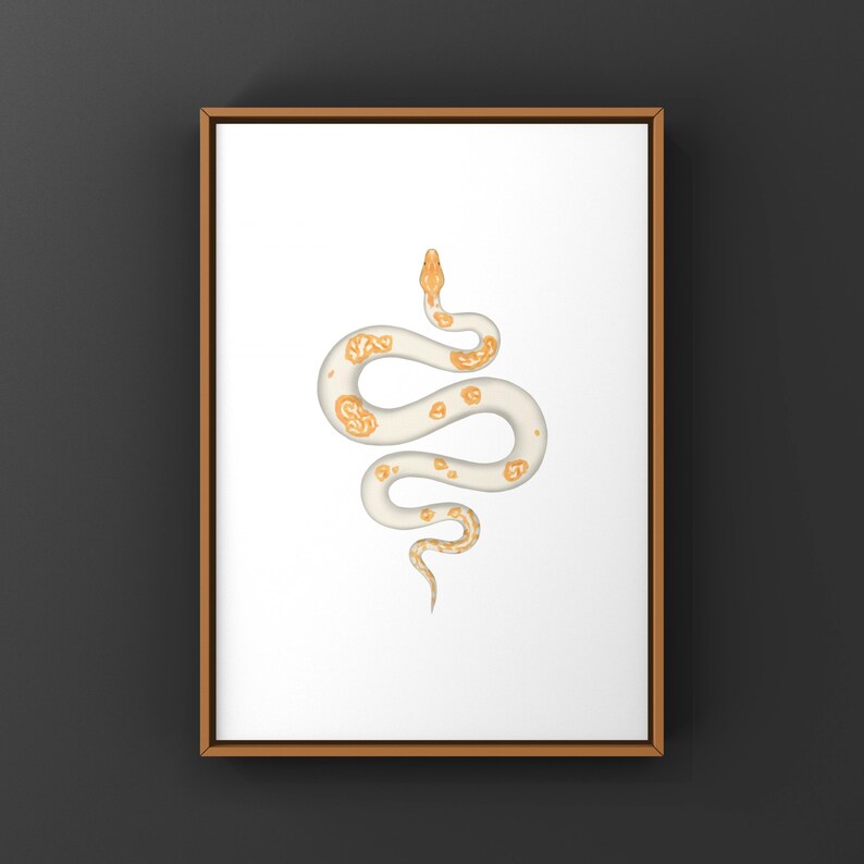 Albino Pied Burmese Python Python bivittatus art print by The Morph Archive, python illustration by Mingo X.