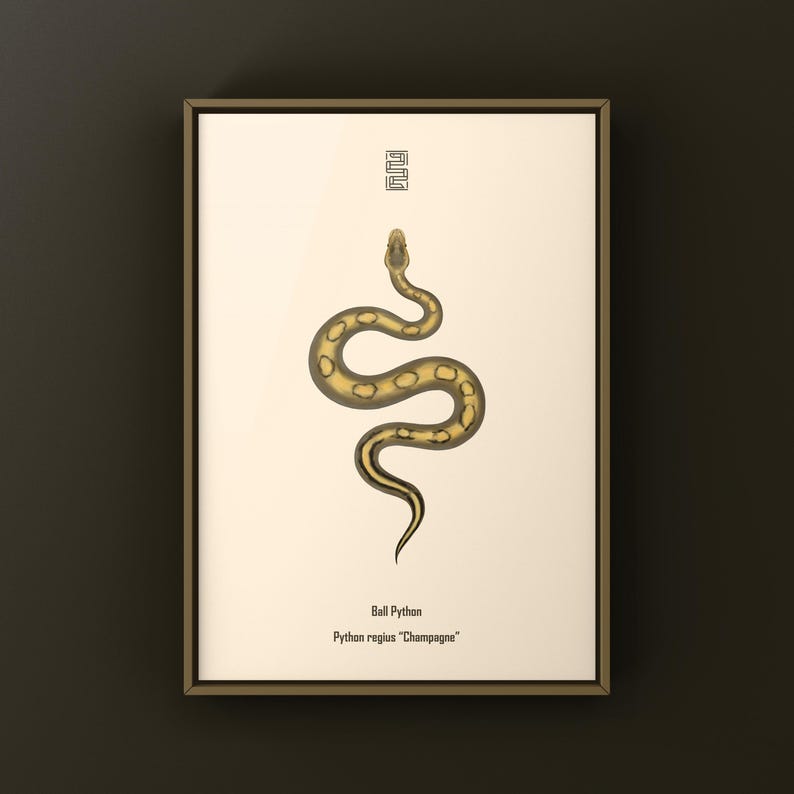 Champagne Ball Python Python regius art print by The Morph Archive, ball python morph illustration by Mingo X.