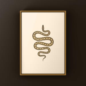 Reticulated Python Python reticulatus art print by The Morph Archive, python illustration by Mingo X.
