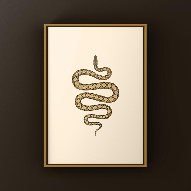 Reticulated Python Python reticulatus art print by The Morph Archive, python illustration by Mingo X.