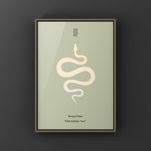 Ivory Burmese Python Python bivittatus art print by The Morph Archive, soft ivory-toned python artwork.