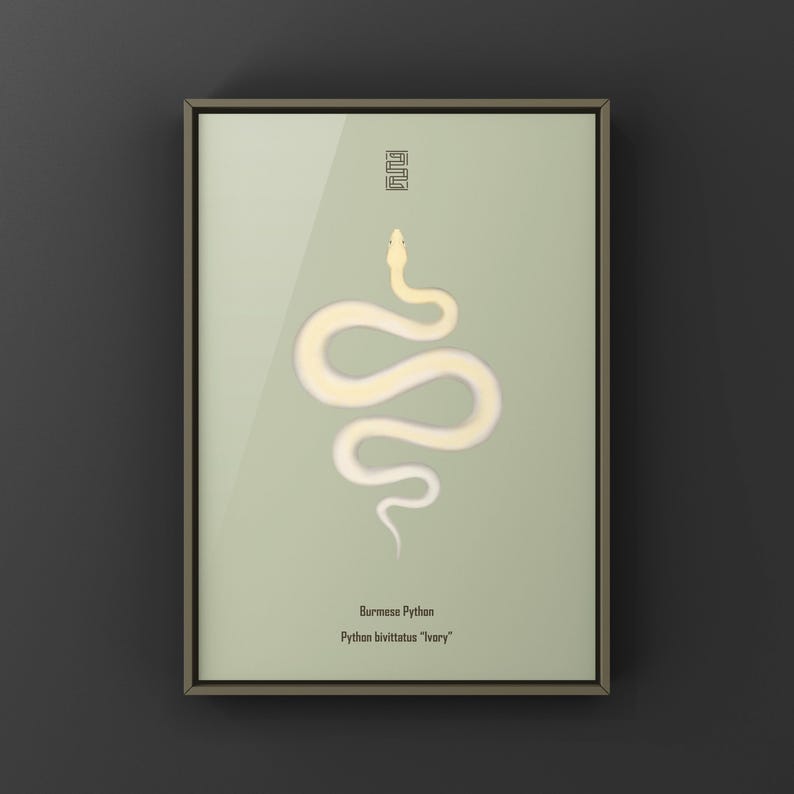 Ivory Burmese Python Python bivittatus art print by The Morph Archive, soft ivory-toned python artwork.