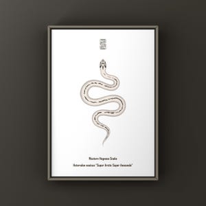 May include: A framed print featuring a white Western Hognose snake with dark grey markings in a serpentine pose. Above the snake is a small square geometric symbol. Below, the text reads Western Hognose Snake Heterodon nasicus Super Arctic Super Anaconda.