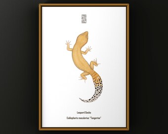 Grafika artystyczna z gekona lamparciego w kolorze mandarynki, ilustracja biologiczna, dekoracja ścienna z wężem