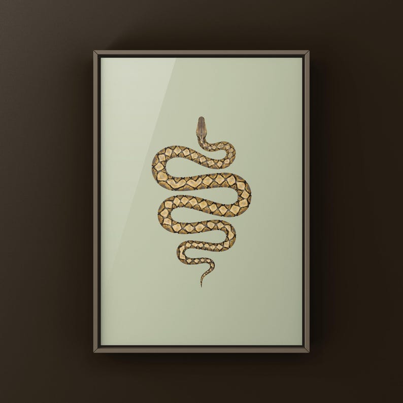 Reticulated Python Python reticulatus art print by The Morph Archive, python illustration by Mingo X.