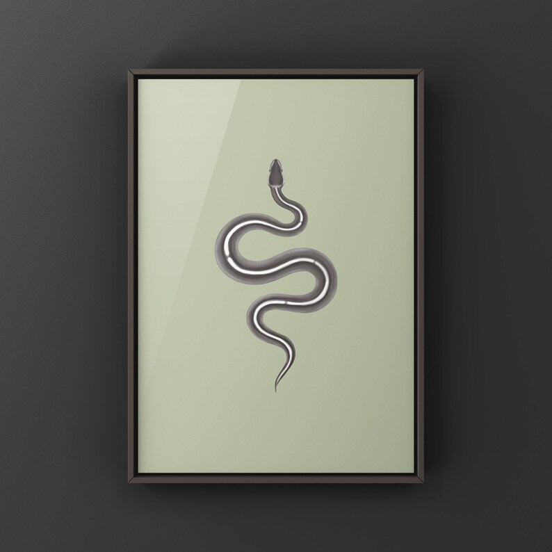 Black Pastel Mystic Potion Ball Python Python regius art print by The Morph Archive, ball python morph illustration by Mingo X.