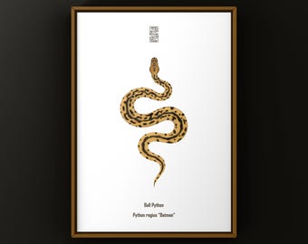 Lámina artística de Batman con pitón bola (Python regius), ilustración biológica, decoración de pared con serpientes.