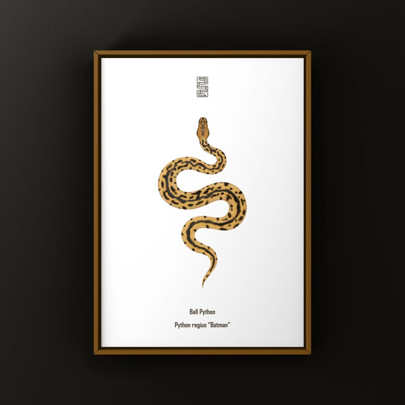 Batman Ball Python Python regius art print by The Morph Archive, designer snake artwork by Mingo X.