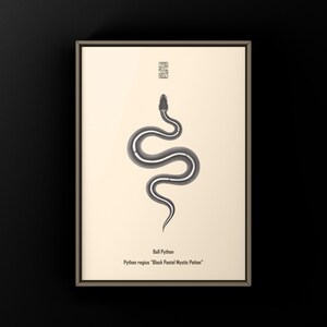 Black Pastel Mystic Potion Ball Python Python regius art print by The Morph Archive, ball python morph illustration by Mingo X.