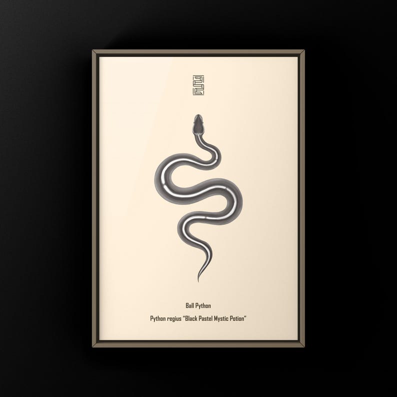 Black Pastel Mystic Potion Ball Python Python regius art print by The Morph Archive, ball python morph illustration by Mingo X.