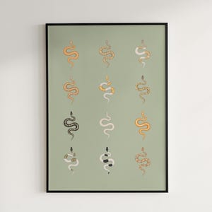 Ball Python poster series 2 Python regius advanced morph collection art print by The Morph Archive, designer snake artwork by Mingo X.
