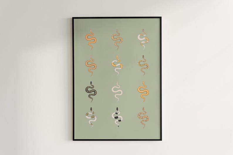 Ball Python poster series 2 Python regius advanced morph collection art print by The Morph Archive, designer snake artwork by Mingo X.