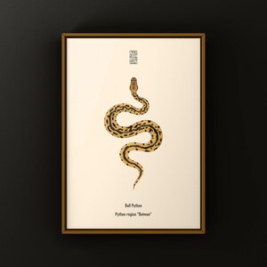 Batman Ball Python Python regius art print by The Morph Archive, designer snake artwork by Mingo X.