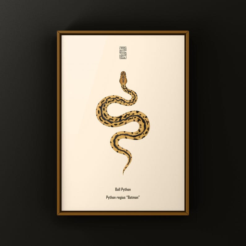Batman Ball Python Python regius art print by The Morph Archive, designer snake artwork by Mingo X.