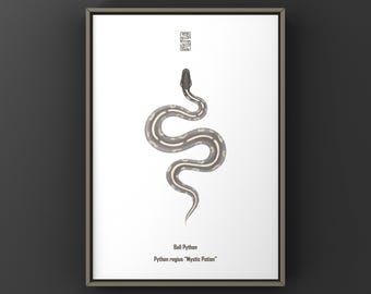 Mystic Potion Ball Python (Python regius) Art Print, Biological Illustration, Snake Wall Decor