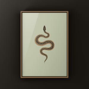 Freeway Ball Python Python regius art print by The Morph Archive, ball python morph illustration by Mingo X.