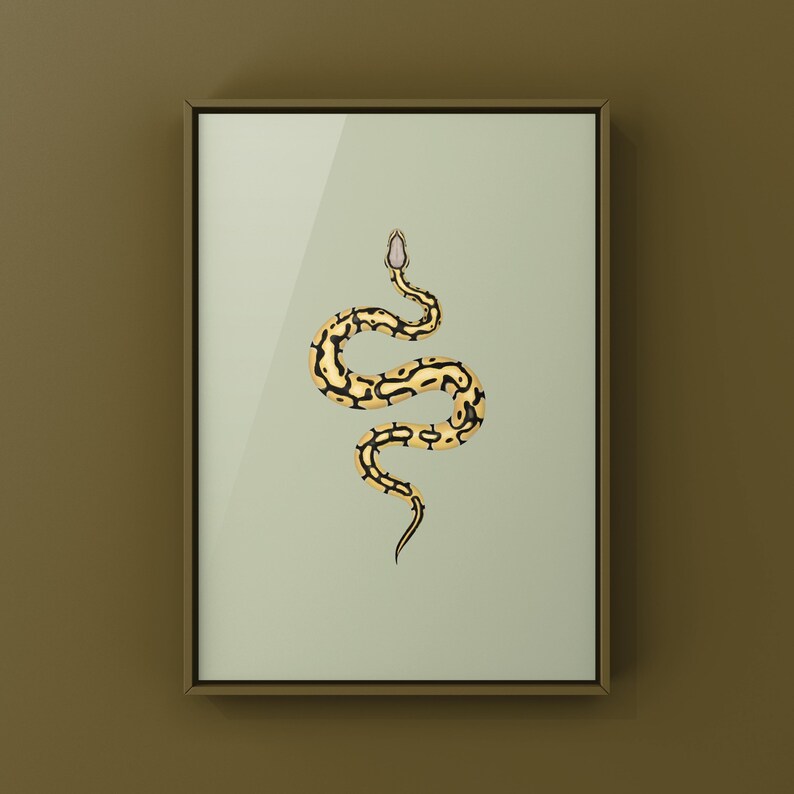 Pastel Desert Ghost Ball Python Python regius art print by The Morph Archive, ball python morph illustration by Mingo X.