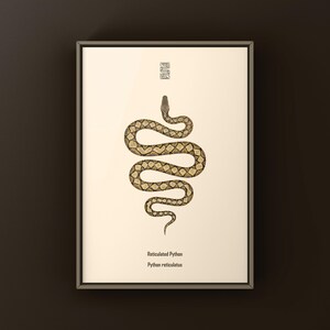 Reticulated Python Python reticulatus art print by The Morph Archive, python illustration by Mingo X.
