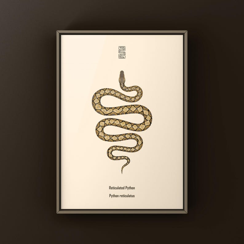 Reticulated Python Python reticulatus art print by The Morph Archive, python illustration by Mingo X.
