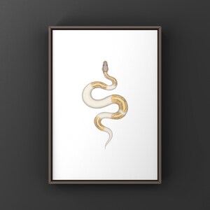 Banana Pied Ball Python Python regius art print by The Morph Archive, colorful piebald snake artwork by Mingo X.
