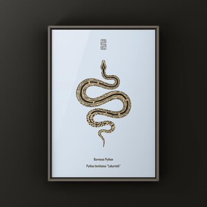 Labyrinth Burmese Python Python bivittatus art print by The Morph Archive, patterned snake artwork by Mingo X.