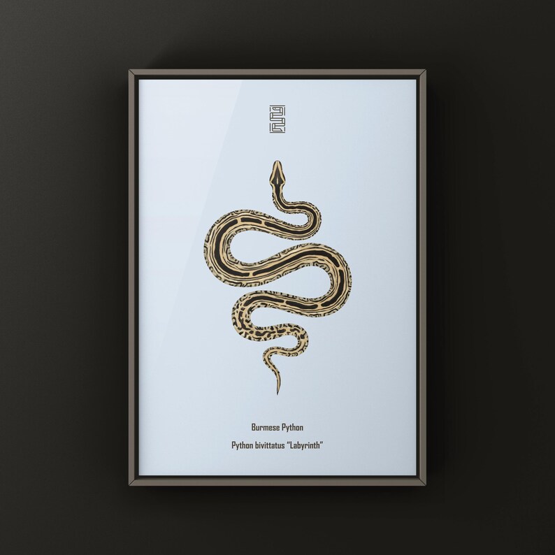 Labyrinth Burmese Python Python bivittatus art print by The Morph Archive, patterned snake artwork by Mingo X.