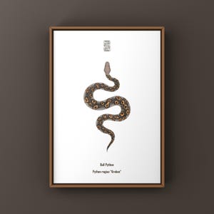 Kraken Ball Python Art Print, Python regius, Deep Patterned Designer Python Illustration with Oceanic Contrast