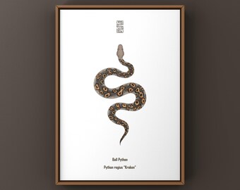 Kunstdruck „Kraken-Königspython“, Illustration von Python regius, Oceanic Contrast Designer Morph