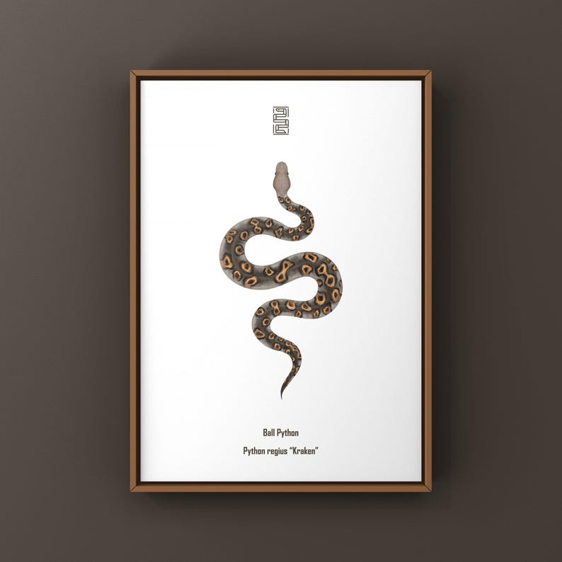 Kraken Ball Python Python regius art print by The Morph Archive, detailed morph python artwork.