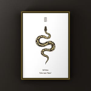 May include: A framed print showing a stylized illustration of a Ball Python, Python regius "Mojave". The snake is depicted in brown, black, and yellow against a white background. Text is included at the bottom of the print.