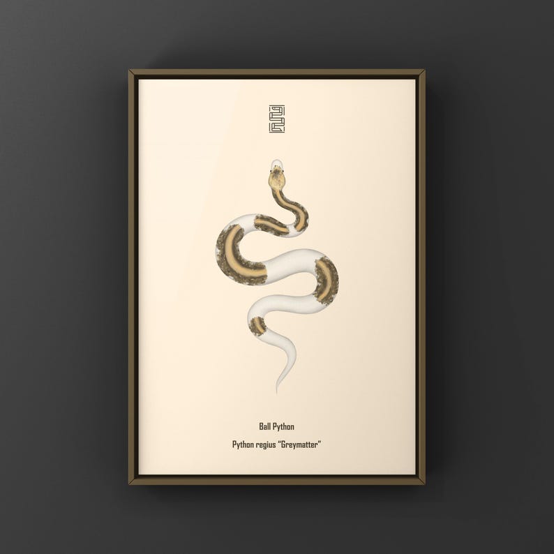 Greymatter Ball Python Python regius art print by The Morph Archive, ball python morph illustration by Mingo X.