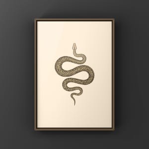 Granite Burmese Python Python bivittatus art print by The Morph Archive, python illustration by Mingo X.