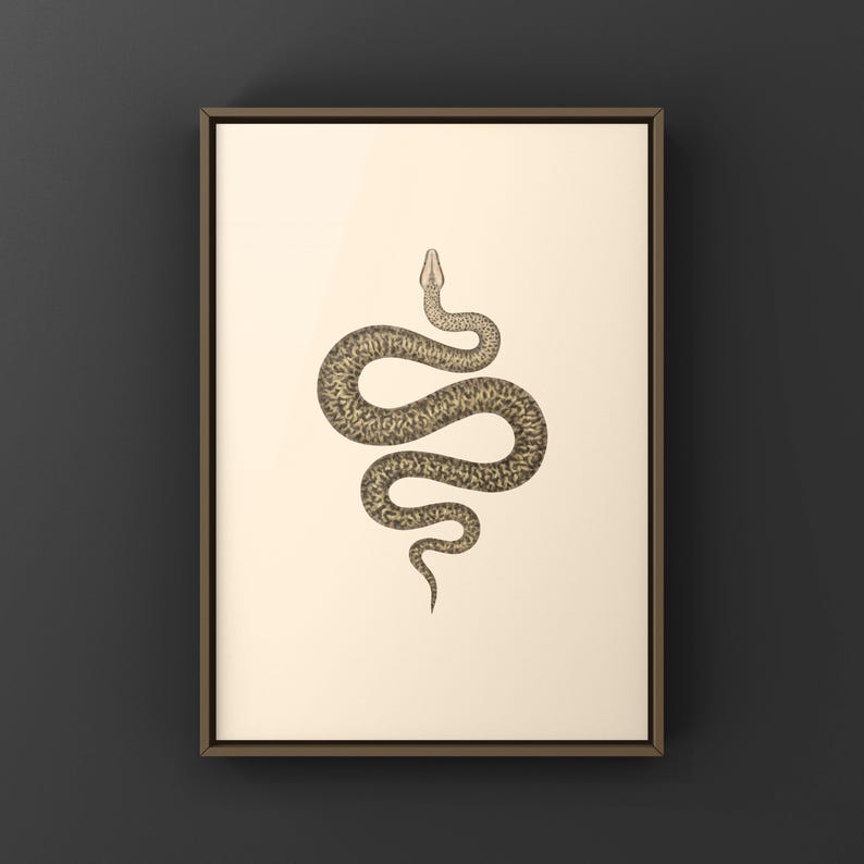 Granite Burmese Python Python bivittatus art print by The Morph Archive, python illustration by Mingo X.