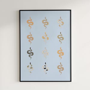 Ball Python poster series 2 Python regius advanced morph collection art print by The Morph Archive, designer snake artwork by Mingo X.