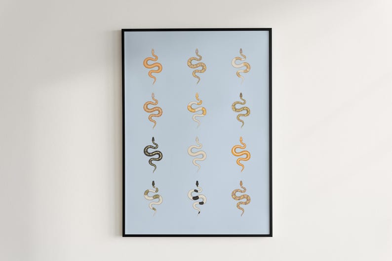 Ball Python poster series 2 Python regius advanced morph collection art print by The Morph Archive, designer snake artwork by Mingo X.