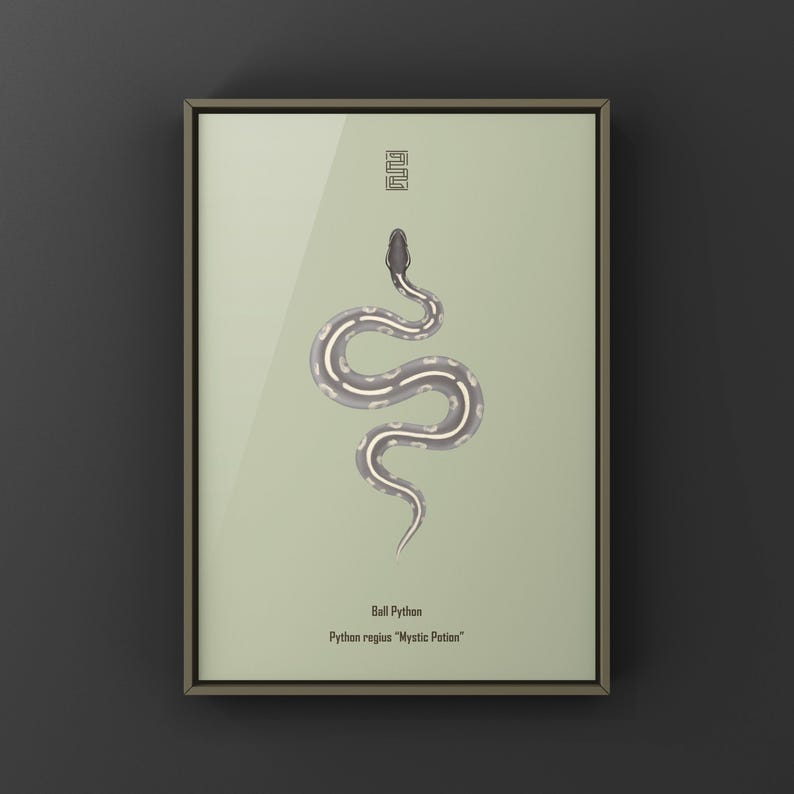 Mystic Potion Ball Python Python regius art print by The Morph Archive, colorful snake artwork by Mingo X.