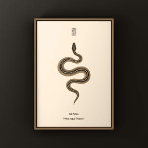 Freeway Ball Python Python regius art print by The Morph Archive, ball python morph illustration by Mingo X.