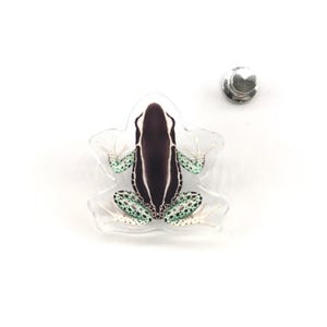 Awarape Dyeing Poison Dart Frog Acrylic Pin, Dendrobates tinctorius 1.5 Inch Clear Acrylic Pin