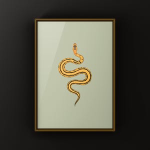 Desert Ghost G-stripe Ball Python Python regius art print by The Morph Archive, ball python morph illustration by Mingo X.