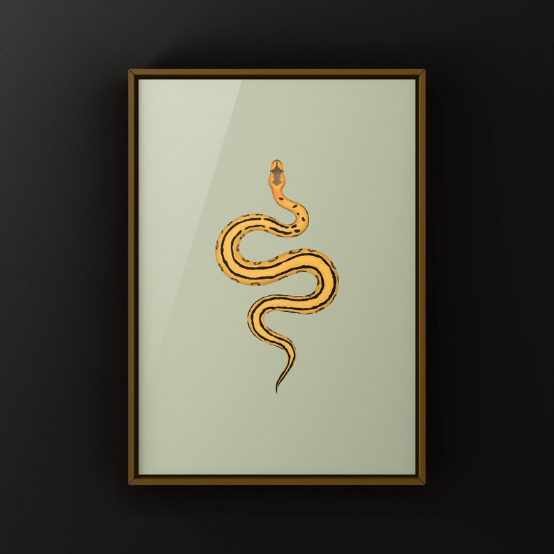 Desert Ghost G-stripe Ball Python Python regius art print by The Morph Archive, ball python morph illustration by Mingo X.
