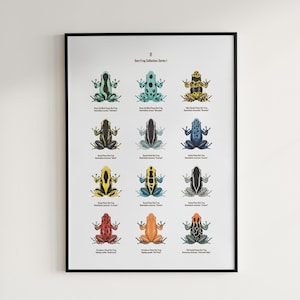 Póster de la serie 1 de la rana dardo venenosa, arte mural de anfibios, tabla de identificación de 12 morfos, decoración de anfibios exóticos, por The Morph Archive
