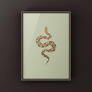 Pompeii Ball Python Python regius art print by The Morph Archive, detailed ball python morph artwork.