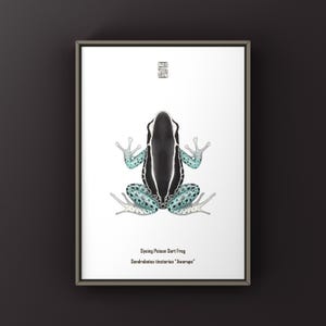 Awarape Dyeing Poison Dart Frog (Dendrobates tinctoris) Art Print, Biological Illustration, Snake Wall Decor