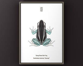 Awarape Dyeing Poison Dart Frog (Dendrobates tinctoris) Art Print, Biological Illustration, Snake Wall Decor