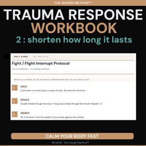 Cuaderno de trabajo para la respuesta al trauma: Reinicio emocional, recuperación del estrés, estabilidad del sistema nervioso, sobrecarga, apoyo para el funcionamiento diario (PDF) imagen 4