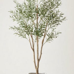 May include: An artificial olive tree in a white pot. The tree has multiple brown trunks and branches with green leaves and small black olive-like details. The pot is a simple, rounded shape.