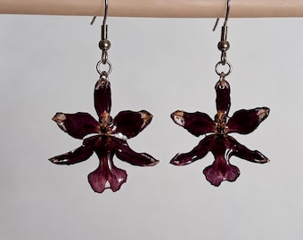 Echte Orchideenblüten Ohrringe, Dunkel Burgund Blumen Schmuck, Natur Inspirierte Botanische Harz Ohrringe